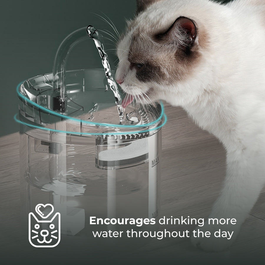 Purr-ified Smart Cat Water Fountain